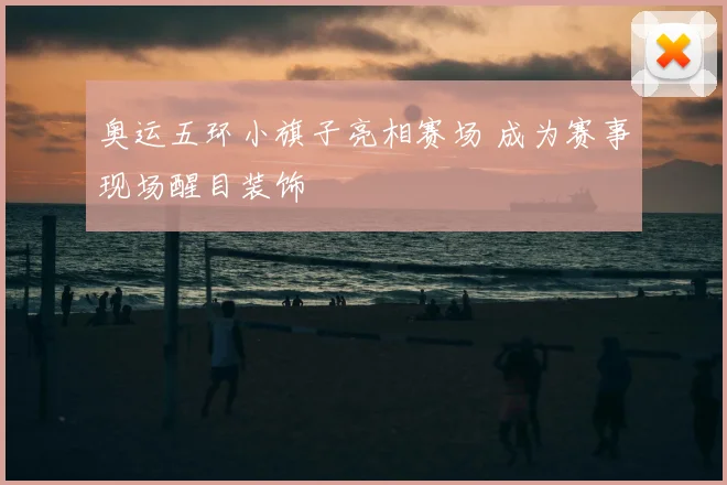 奥运五环小旗子亮相赛场 成为赛事现场醒目装饰
